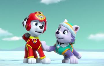Marshall And Everest Paw Patrol Photo