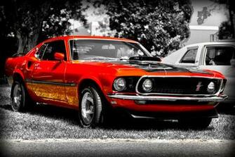 Mustang Mach By Rockriderz