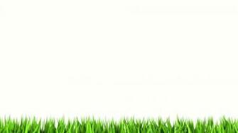 White Background Wallpaper