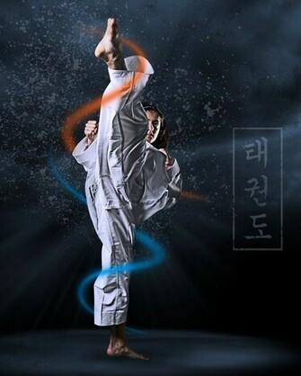 Wallpaper Taekwondo Induk