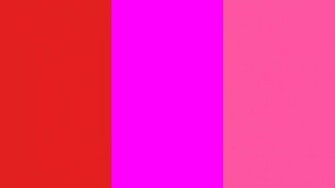 Lust Magenta And Crayola Solid Three Color Background
