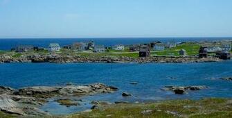 Newfoundland Wallpaper HD