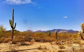 Phoenix Arizona Wallpaper Image