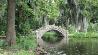 City Park In New Orleans Wallpaper