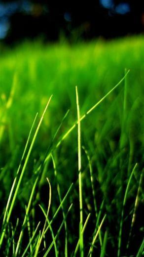 Nature Moto G Wallpaper HD Motorola