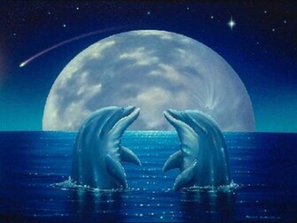 Dolphin Pictures To Color Your Life Styli Wallpaper