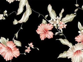 Cute Black Background Popular Photography