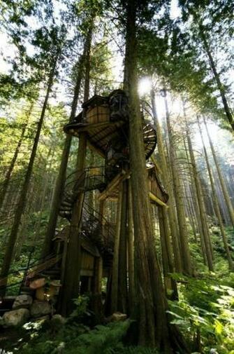 Fairy Tree House