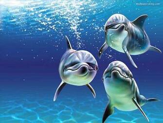 Marine Life Fish Wallpaper Tropical 6 Definition