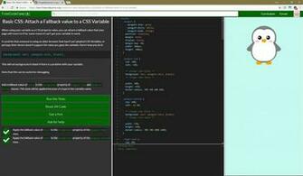 Accepted Answer Is Typo Issue Codecamp
