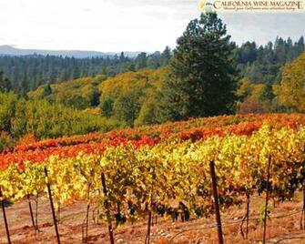 California Wine Magazine Wallpaper
