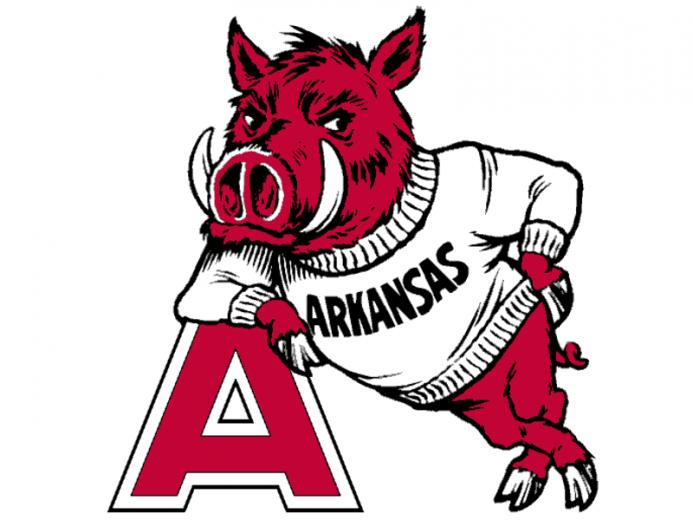 Hog Leaning On A Image Picture Graphic Photo