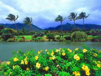 To Wallpaper Just Right Click On Pictures And Select Save