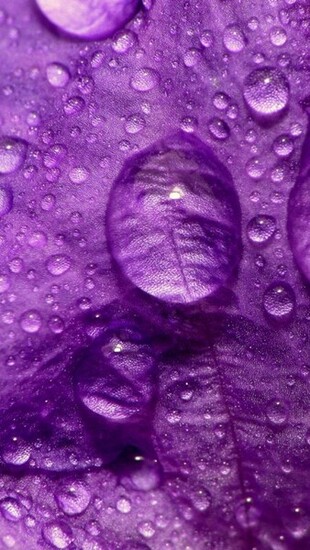 If You Are Ing Wallpaper On Computer Can Easily