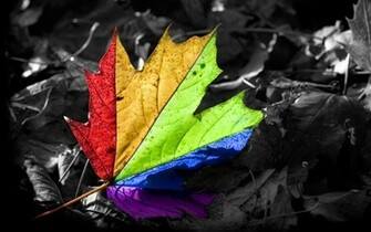 Wallpaper Cool Full HD 1080p