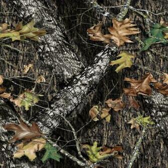 Pictures Mossy Oak Camouflage Background Myspace Layout