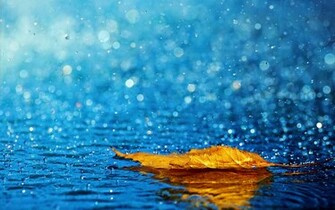 Rain Ariyaamo HD Wallpaper Others