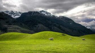 Full HD New Zealand Wallpaper For The Land Of