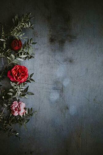 Best Background Image HD Your Next Realistic