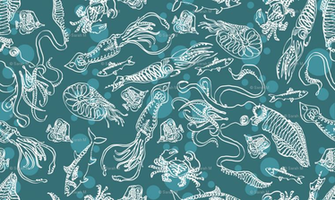 Source Url Imgarcade Giant Squid Wallpaper
