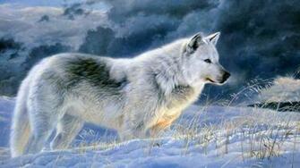The Gallery For Gt Grey Wolf Wallpaper Desktop