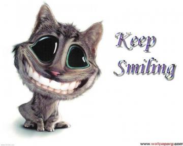 Cat Wallpaper Funny Pictures Desktop Background