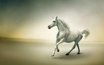 Beautiful Horse Wallpaper