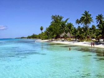 Beautiful Beach Picture Tropical Beaches Palmiers Beaut