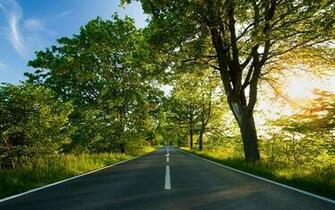 Nature Green Color HD Wallpaper Good For Your Eyes Edmdroid