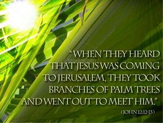 Palm Sunday Wallpaper Image In Collection