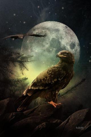 Kingbuzzard By Greenfeed