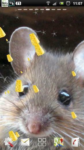 Cute Mouse Live Wallpaper Android Apps On Google Play