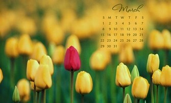 Flower Love Independence Day Pakistan
