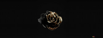 Image Of Rose Gold Color On Black 4k Wallpaper