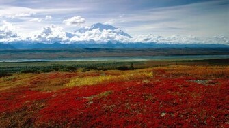Background Alaska Background Park Denali Brilliant Colors Cool