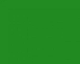 Colors Green Forest Wallpaper Pictures To Pin
