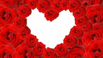 Heart Shape On White Background Wallpaper And Image