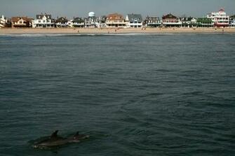 The Radar Off Season Getaways To Cape May Places In Poland You