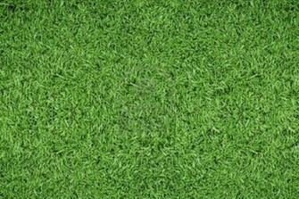 Soccer Field Wallpaper HD In Football Telusers