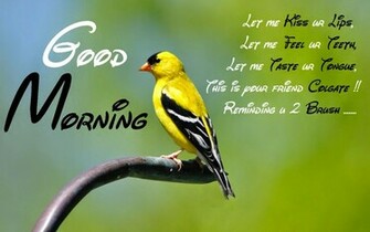 India Youth Best Good Morning HD Wallpaper Image Pictures Photos
