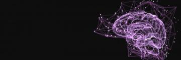 Brain Background Synergetic Play Therapy Institute