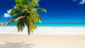 Tropical Beach Wallpaper Pictures Image
