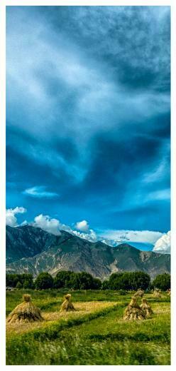 Lhasa Mobile Wallpaper Background Image