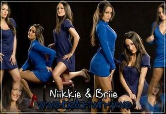 Bellas Wwe Divas Image