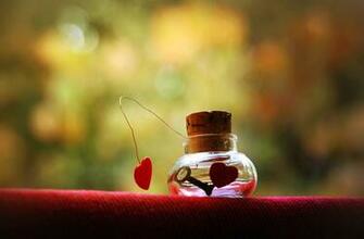 Heart Touching HD Wallpaper
