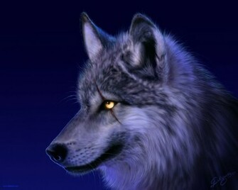 Wolf Wallpaper HD In Animals Imageci
