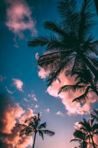 Summer Wallpaper HD Hq