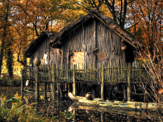 Wood House Wallpaper
