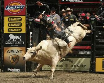 Bull Riding Bullrider Rodeo Western Cowboy Extreme Cow