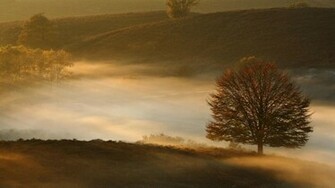 Misty Hills Wallpaper